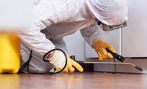 Best Pest Prevention Services  in Vernon Valley, NJ